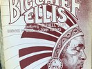 BIG CHIEF ELLIS RARE BLUES FIND TRIX 12