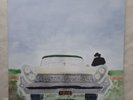 Neil Young ‎– Storytone - 2x LP 180g Vinyl US Deluxe Edition 2014 like new