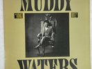 Muddy Waters – King Bee Vinyl, LP 1981 Blue Sky – PZ 37064  Chicago Blues