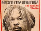 RARE ROOTS DUB LP VIVIAN JACKSON LABEL YABBY YOU 