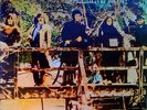 Steeleye Span Hark  The Village Wait NEAR MINT Mooncrest Vinyl LP