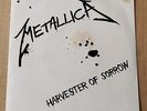 METALLICA: Harvester of sorrow 7