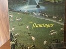 The Flamingos CHECKER LP 1433 MONO M-/M- RARE  LP