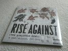 Rise Against 'Long Forgotten Songs: B-Sides & Covers 2000-20013' / Vinyl 2-LP