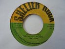 JAH POPS Seventy Two Different Nations - Conquering Lion  Deejay Roots Reggae 7