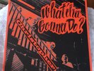 CHRISTOPHER - WHAT'CHA GONNA DO 69 ACID ROCK PSYCH FOLK ORIG OOP LION GFC EDT LP