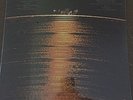 Creedence Clearwater Revival-More Creedence Gold-SEALED-33 1/3 RPM-LP-12