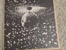 Neil Young Pearl Jam Vinyl Mirror Ball RARE