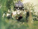 THE BLADES OF GRASS ARE NOT FOR SMOKING PSYCH POP ORIGINAL VINYL NEAR MINT