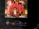 The Cool Notes Have A Good Forever... +OIS Intercord Vinyl LP