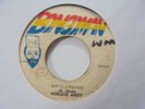HORACE ANDY Skylarking BONGO MAN Killer  Roots Reggae 7