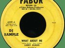 LARRY EVANS (aka James Wayne) What About Me / Junco Returns 45rpm Fabor 1956