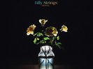 BILLY STRINGS - RENEWAL New Sealed Vinyl 2 LP Record Album 180g Gatefold Jacket