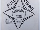 REVOLUTIONARIES Revival Dub Roots Now WELL CHARGE LP silkscreen cover m