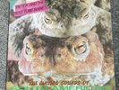 PETER AND THE TEST TUBE BABIES - THE MATING SOUNDS OF... 1983 UK VINYL LP PUNK