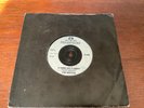 The Beatles A Hard Day’s Night / Things We Said Today 7” Single Vinyl