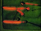 Miroslav Vitous Group Miroslav Vitous Group (Vinyl) 12