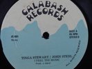 TINGA STEWART/JOHN STEEL I Feel The Music CALABASH 12