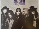 Faster Pussycat - Self Titled LP  Elektra 9 60730-1 -  RARE Promotional Copy
