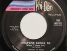 IKETTES What’cha Gonna Do / Down Down PHI-DAN 45 northern soul NM HEAR