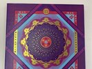 Cornell 5/8/77 by Grateful Dead (Record, 2017) Immaculate Condition