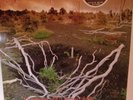 REVENANT PROPHECIES OF A DYING WORLD VINYL