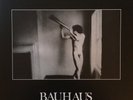 Bauhaus - In The Flat Field - 40th Anniversary Edition Bronze Vinyl Record NEW