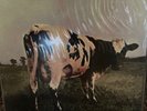 Pink Floyd-Atom Heart Mother-Sealed Original Master Recording
