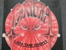 PANTERA I AM THE NIGHT 12