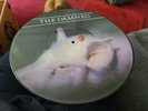 The Damned, Strawberries, NEW/MINT Original UK PICTURE DISC vinyl LP