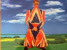 DAVID BOWIE - Earthling (2 LP - NEW)  glam EDM vinyl record IN Reznor