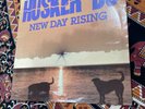 Hüsker Dü New Day Rising UK 1985 Vinyl SST Records