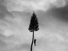 A Black Mile To The Surface [2 LP] [Vinyl] Manchester Orchestra