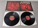 THE ACCEPT (U.D.O.) original Vinyl 2LP Blood Of the Nations (2010 Nuclear Blast)