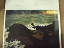 FLEET FOXES Crack-Up 2xLP SEALED indie-rock Nonesuch