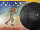 OINGO BOINGO ONLY A LAD LP VG+ VINYL 1981 A&M SP 3250