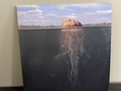 The Mars Volta De-loused In The Comatorium GSL75, 200 Gram Silver Vinyl