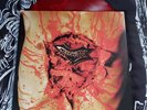 DISMEMBER indecent and obscene COLOR VINYL LP death metal autopsy entombed fetid