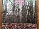 TWINK Think Pink John Alder PSYCH ROCK EXPERIMENTAL PROG SIRE PROMO LP VG+ RARE