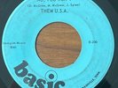 THEM U.S.A. No, You Won't / Her Kind BASIC Records GARAGE ROCK GEM 45 VERY RARE