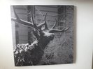 Agalloch - The Mantle - 2 x LP - Original 2005 Grau Rec. - Grey Vinyl Lim. 500