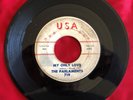 Parlaments, USA 719, My Only Love & To Be Alone, Good uptempo group & ballad