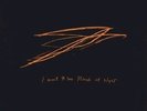 Andrew Bird I Want to See Pulaski at Night GOLD Vinyl 12