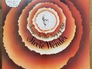 Stevie Wonder 