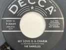 * SHIRELLES My Love Is A Charm/Slop Time GIRL GROUP DOO WOP SOUL Decca 45 HEAR