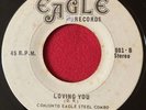 Killer Steelband NATI SUMMERFIELD Lovin' You 45 EAGLE STEEL COMBO 7