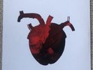 Martina Topley BIrd Pure Heart Vinyl Robert Del Naja 3D Massive Attack / Banksy