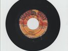 HEAVY DUTY/ INFORMER - GEORGE NOOKS (77 REGGAE ROOTS 7