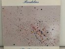 RARE ELECTRONIC Roedelius – Flieg' Vogel Fliege 80's Import LP AMBIENT Germany