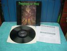 Prophecy Of Doom Acknowledge The Confusion Master Vinyl LP 1990 Death Metal